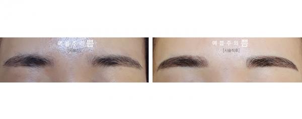 자연눈썹